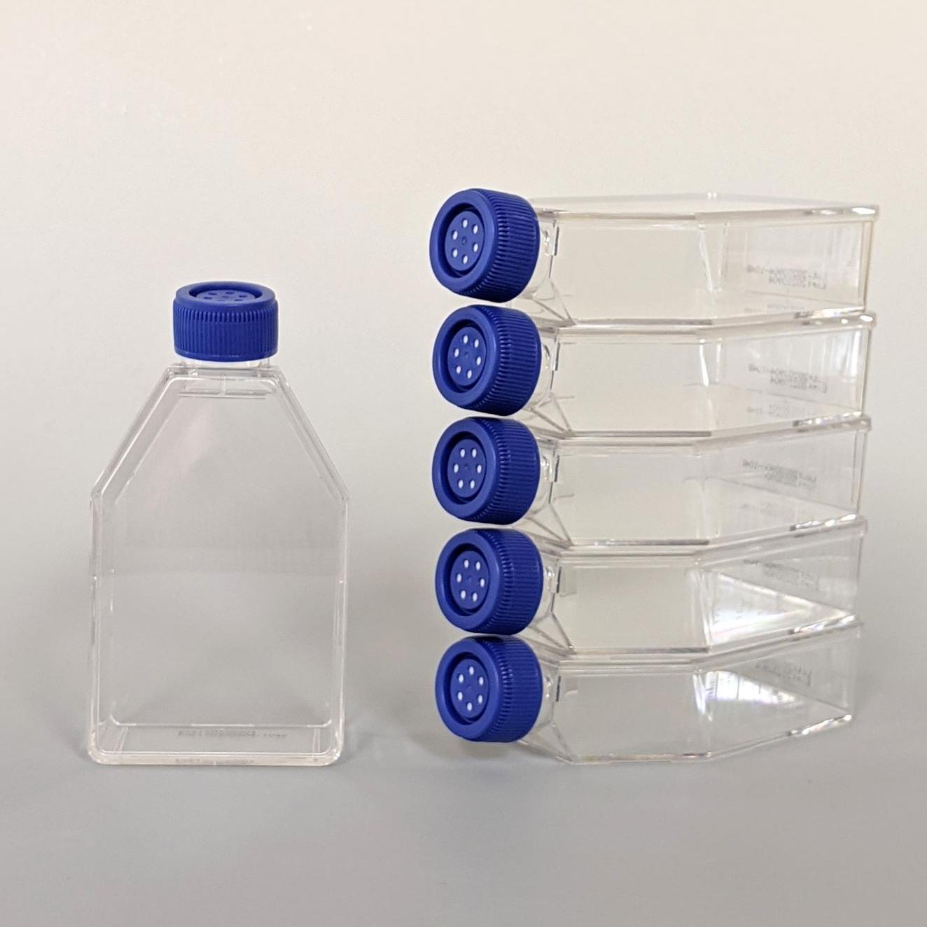 Advanced BioMatrix CytoSoft® T75 Flasks (0.2 64 kPa)